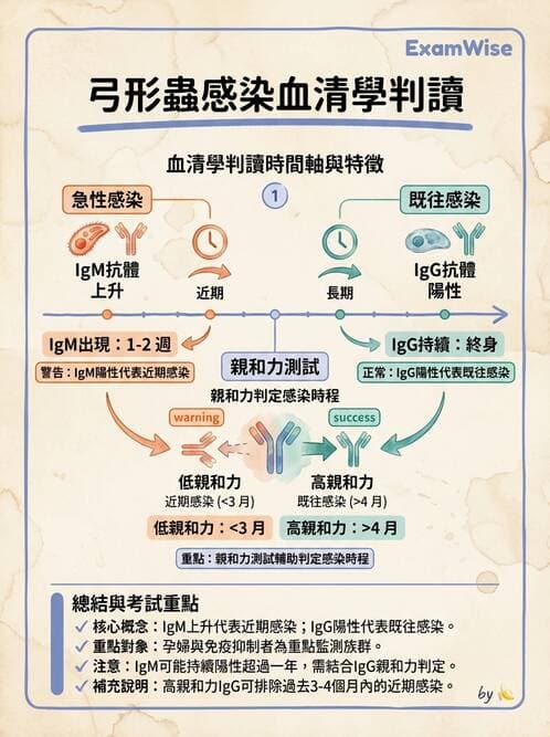 醫檢師 - 急性發炎蛋白與微生物感染血清學 - AI 圖文解析預覽