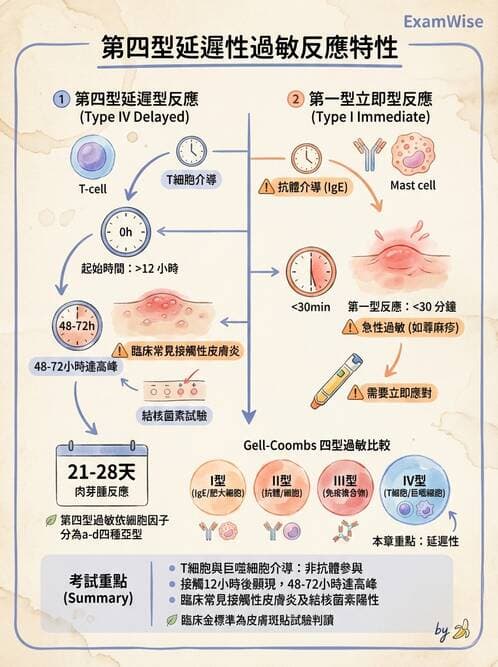 醫檢師 - 過敏反應及測試法 - AI 圖文解析預覽