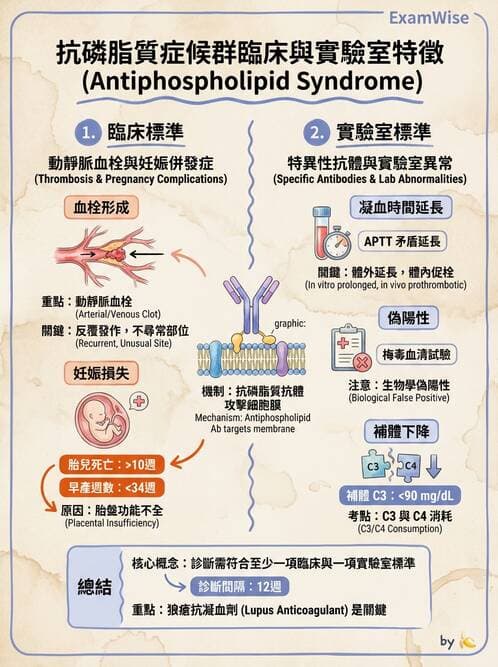 醫檢師 - 全身性紅斑性狼瘡與抗磷脂質症候群 - AI 圖文解析預覽