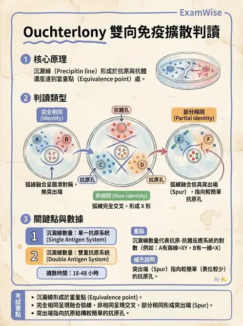 醫檢師 - 實驗室測試免疫法 - AI 圖文解析預覽