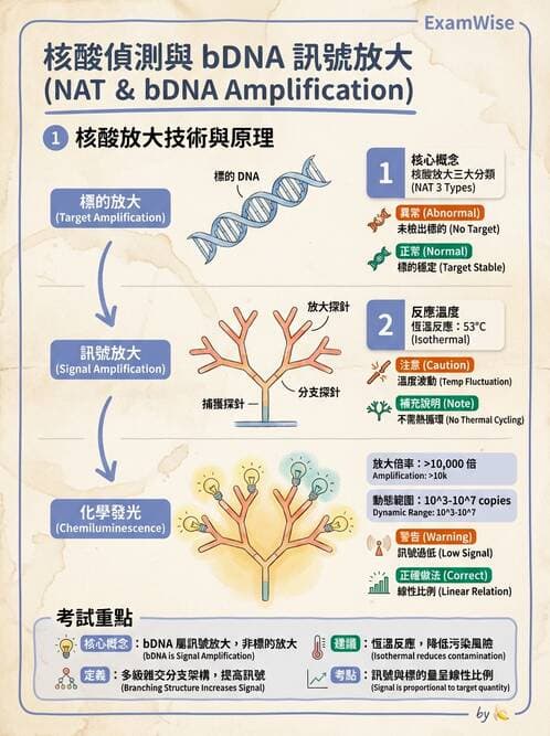 醫檢師 - 黃病毒科與蟲媒病毒 - AI 圖文解析預覽