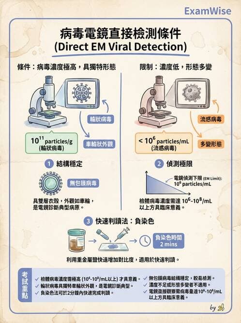 醫檢師 - 其他RNA病毒 - AI 圖文解析預覽
