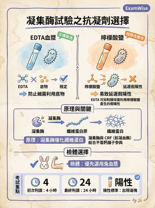 醫檢師 - 檢驗基礎技術 - AI 圖文解析預覽
