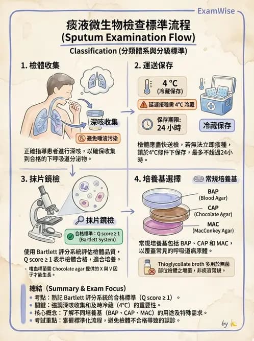醫檢師 - 檢驗基礎技術 - AI 圖文解析預覽