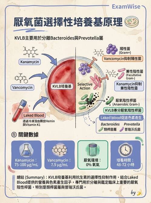 醫檢師 - 檢驗基礎技術 - AI 圖文解析預覽