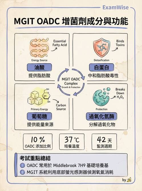 醫檢師 - 鏈球菌與其他革蘭氏陽性桿菌 - AI 圖文解析預覽