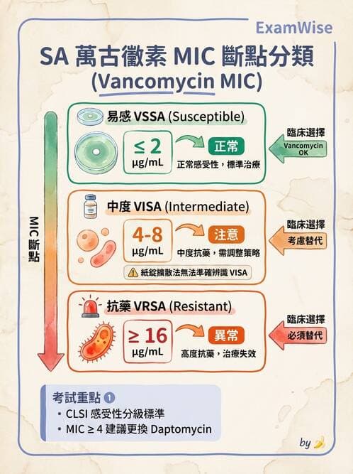 醫檢師 - 葡萄球菌與腸球菌 - AI 圖文解析預覽