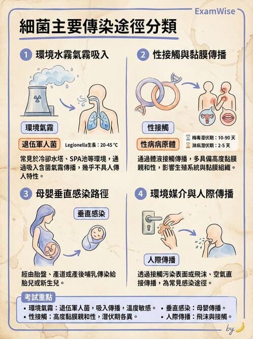 醫檢師 - 腸內菌鑑別方法與培養基 - AI 圖文解析預覽