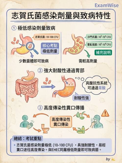 醫檢師 - 主要腸道致病菌 - AI 圖文解析預覽