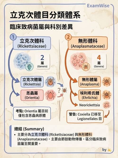 醫檢師 - 特殊病原體 - AI 圖文解析預覽