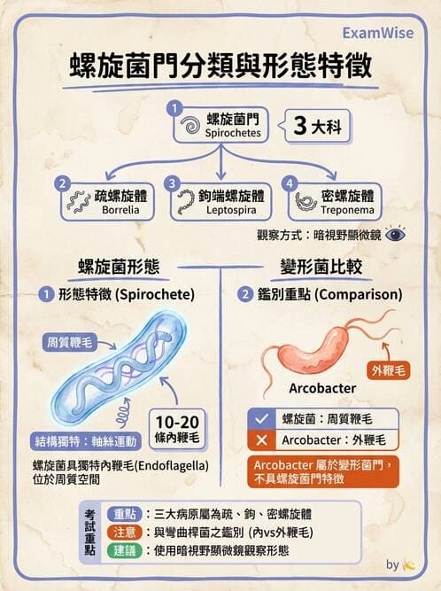 醫檢師 - 特殊病原體 - AI 圖文解析預覽
