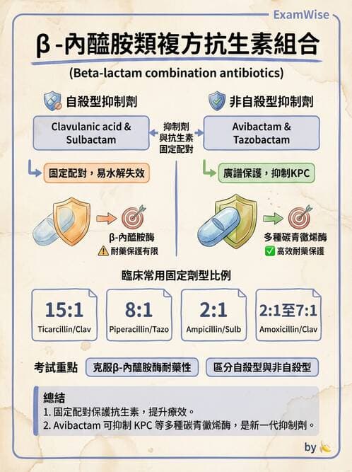 醫檢師 - 藥敏試驗方法 - AI 圖文解析預覽