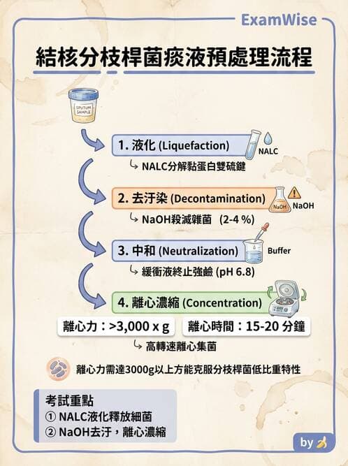 醫檢師 - 分枝桿菌 - AI 圖文解析預覽