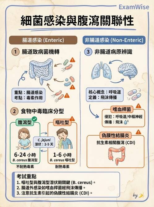 醫檢師 - 腸內菌鑑別方法與培養基 - AI 圖文解析預覽