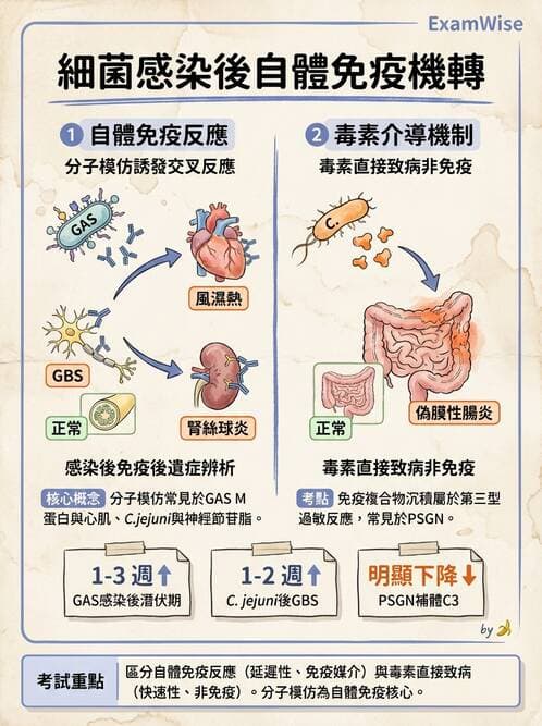 醫檢師 - 厭氧菌 - AI 圖文解析預覽