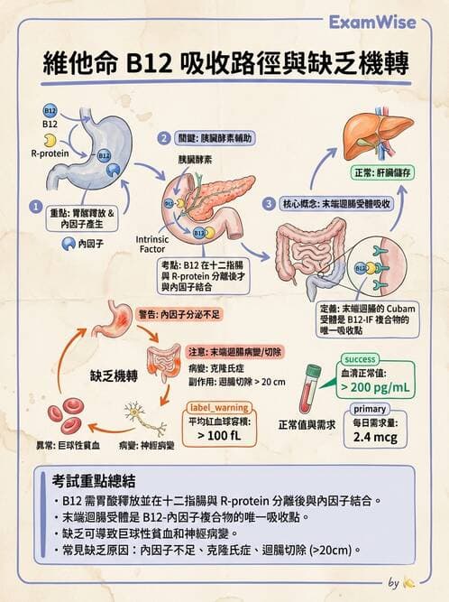 專師 - 營養學 - AI 圖文解析預覽