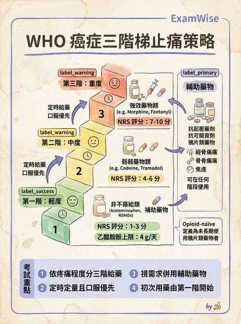 專師 - 疼痛控制與止痛藥物 - AI 圖文解析預覽