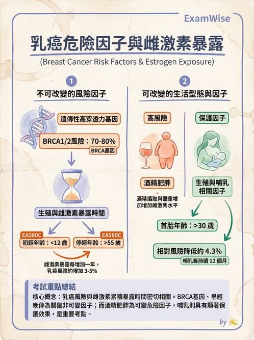 專師 - 乳癌與婦癌 - AI 圖文解析預覽