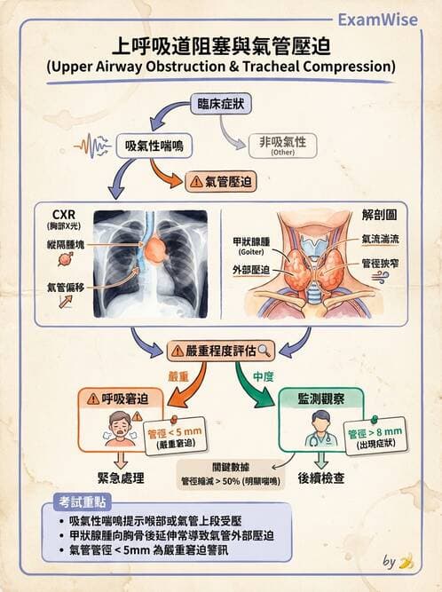 專師 - 頭頸腫瘤與甲狀腺 - AI 圖文解析預覽