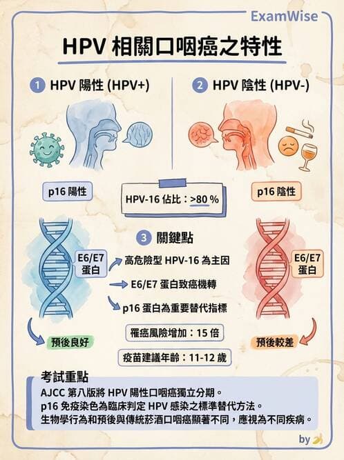 專師 - 頭頸腫瘤與甲狀腺 - AI 圖文解析預覽