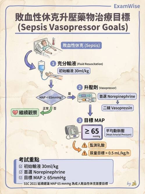 專師 - 敗血症治療與復甦指引 - AI 圖文解析預覽