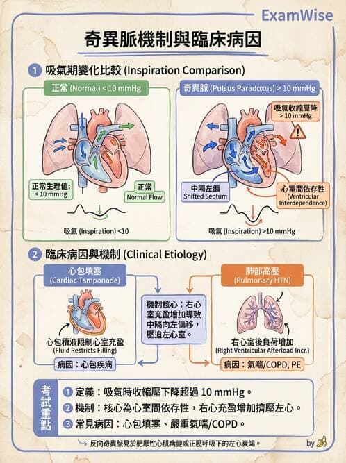 專師 - 心包膜與心肌疾病 - AI 圖文解析預覽