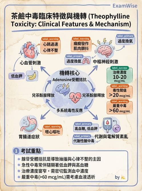 專師 - 阻塞性肺病 - AI 圖文解析預覽