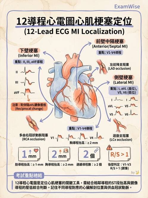 專師 - 急性心肌梗塞與處置 - AI 圖文解析預覽