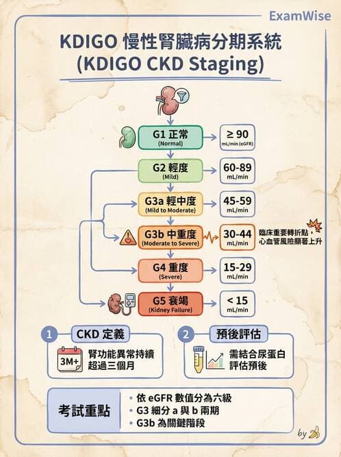 專師 - 慢性腎臟病與併發症 - AI 圖文解析預覽