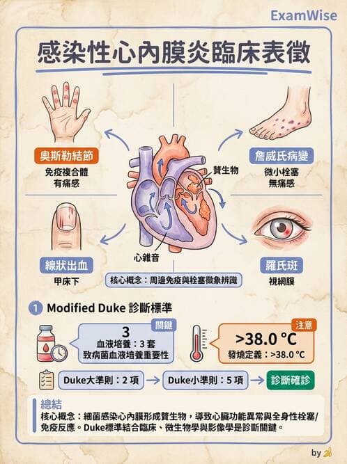 專師 - 感染性心內膜炎 - AI 圖文解析預覽