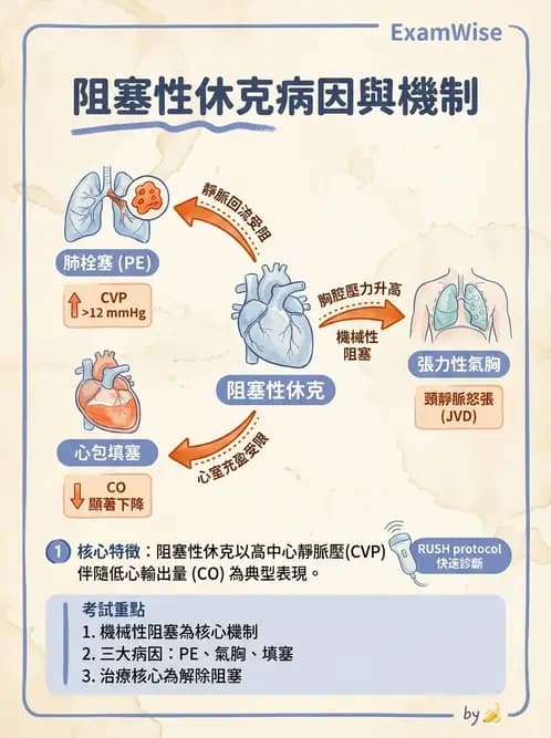 專師 - 休克分類與血行動力學 - AI 圖文解析預覽