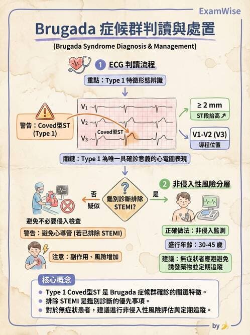 專師 - 心律不整與ECG判讀 - AI 圖文解析預覽