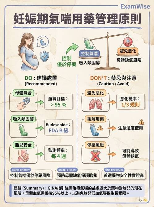專師 - 阻塞性肺病 - AI 圖文解析預覽