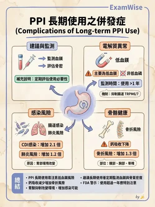 專師 - 上消化道 - AI 圖文解析預覽
