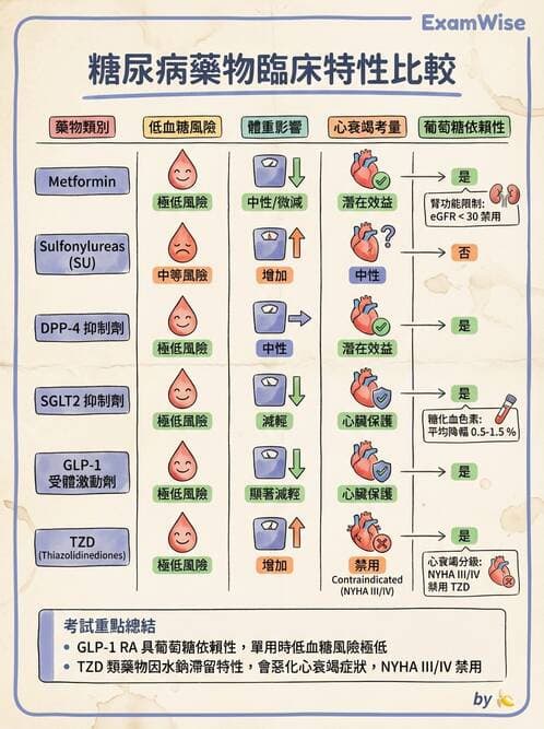 專師 - 降血糖藥物 - AI 圖文解析預覽