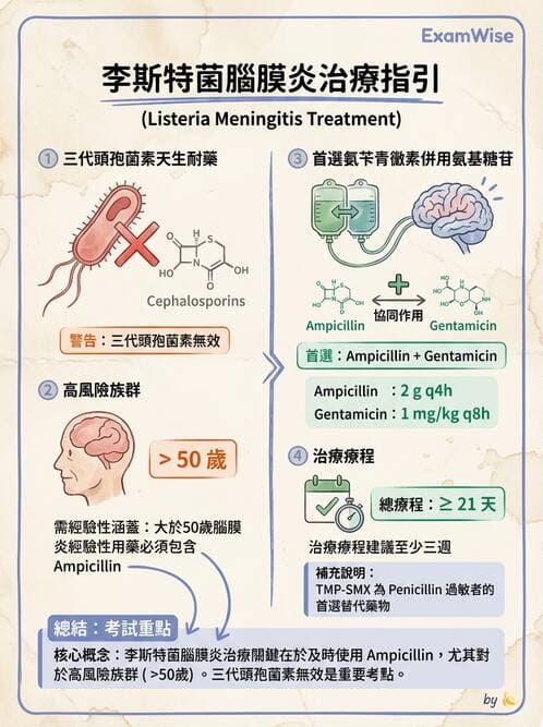 專師 - 中樞神經感染 - AI 圖文解析預覽