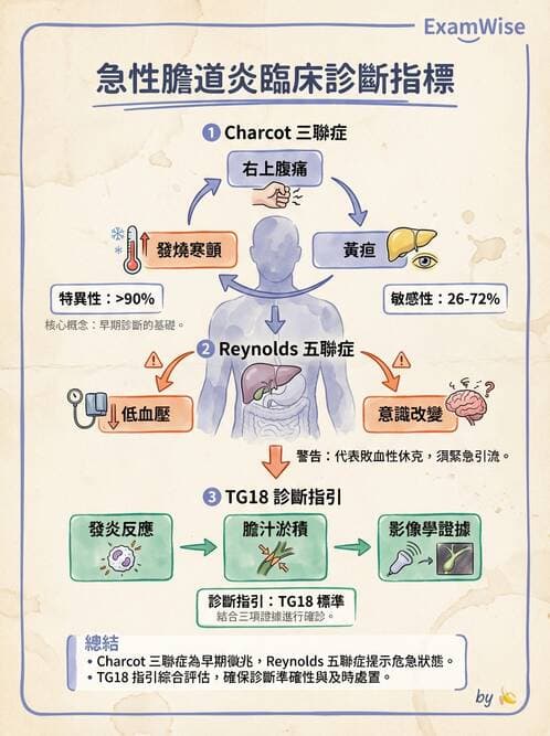 專師 - 膽道與胰臟 - AI 圖文解析預覽