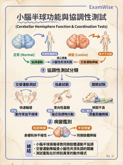 專師 - 腦神經檢查與神經學評估 - AI 圖文解析預覽