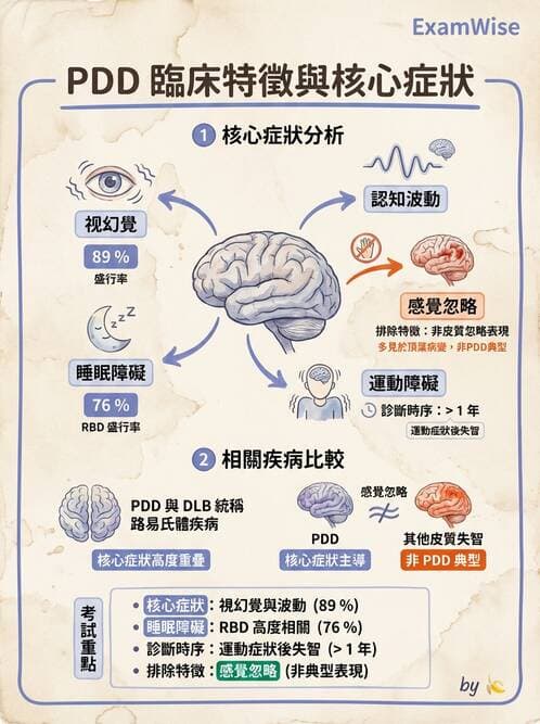 專師 - 神經退化與免疫疾病 - AI 圖文解析預覽
