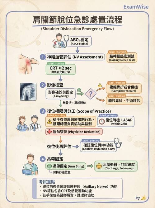 專師 - 上肢與手部疾病 - AI 圖文解析預覽
