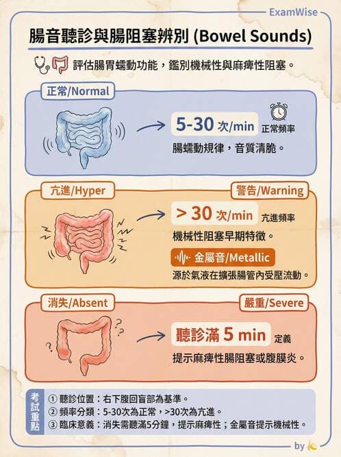 專師 - 腹部評估與急腹症 - AI 圖文解析預覽