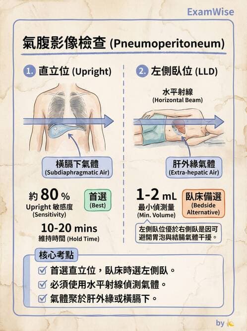 專師 - 腹部評估與急腹症 - AI 圖文解析預覽