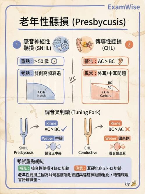 專師 - 眼耳鼻喉外科 - AI 圖文解析預覽