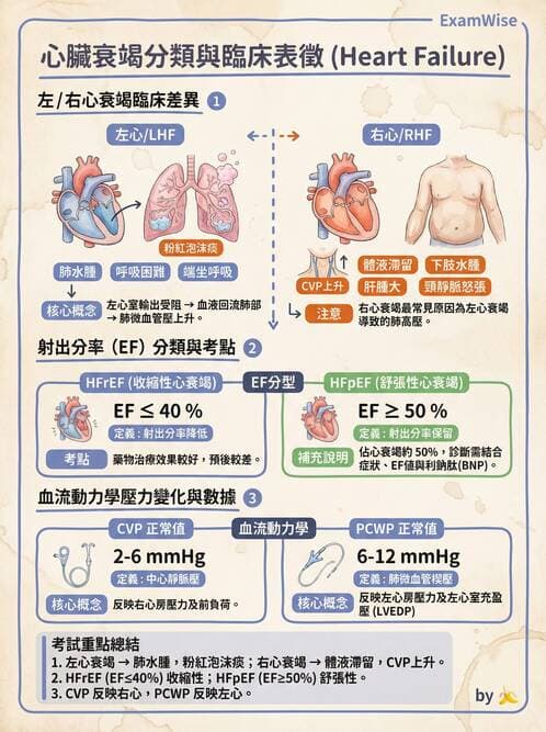 專師 - 心衰竭 - AI 圖文解析預覽