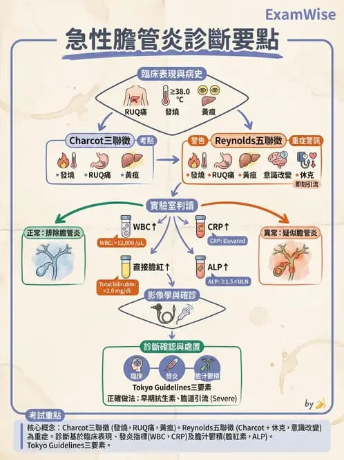 專師 - 肝炎與肝功能 - AI 圖文解析預覽