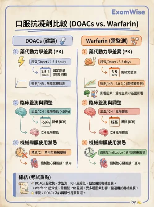 專師 - 心臟外科與介入 - AI 圖文解析預覽
