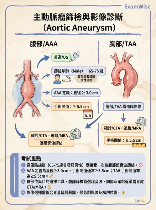 專師 - 主動脈疾病 - AI 圖文解析預覽