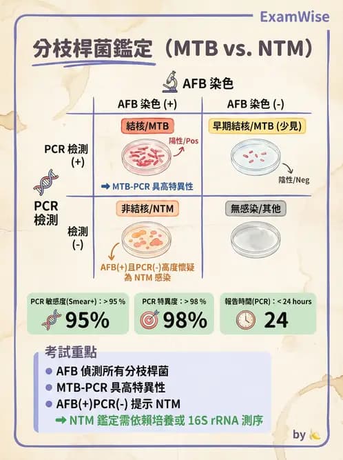 專師 - 結核病 - AI 圖文解析預覽