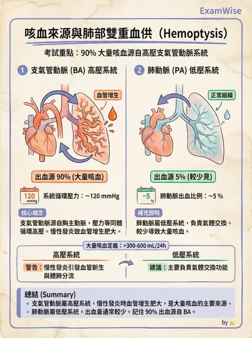 專師 - 阻塞性肺病 - AI 圖文解析預覽