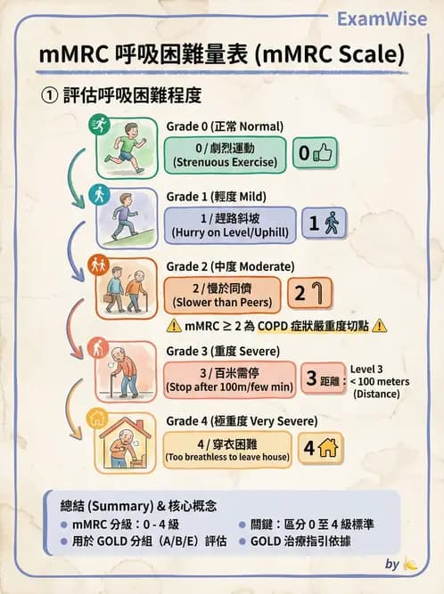 專師 - 阻塞性肺病 - AI 圖文解析預覽